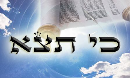 Következő hetiszakaszunk: Ki Técé (כִּי תֵצֵא) Következő hetiszakaszunk: Ki Técé (כִּי תֵצֵא)
