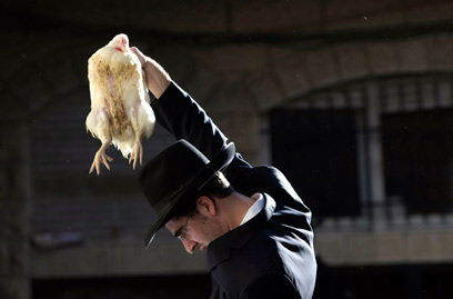Jom Kippur előtti fontos teendők: mikve, kapore, temetőlátogatás Jom Kippur előtti fontos teendők: mikve, kapore, temetőlátogatás