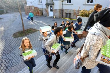 Önkéntesek, és scheiberes diákok osztottak gyümölcsöt a betegeknek Önkéntesek, és scheiberes diákok osztottak gyümölcsöt a betegeknek