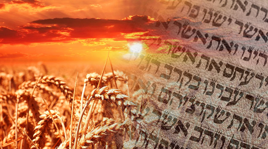 Vasárnap délelőtt Shavuot afterparty a Bethlenben Vasárnap délelőtt Shavuot afterparty a Bethlenben