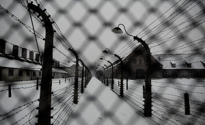 Auschwitz__1706087a