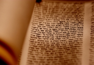 torah_akom