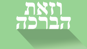 vzot_habracha