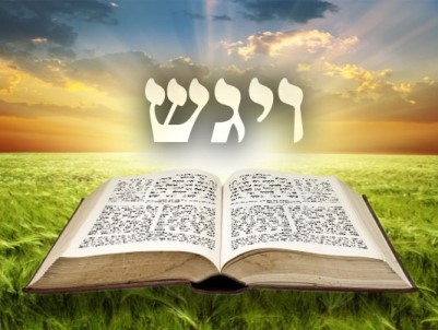 Következő hetiszakaszunk: Vájigás (וַיִּגַּש) Következő hetiszakaszunk: Vájigás (וַיִּגַּש)