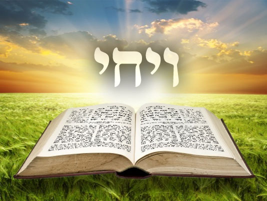 Következő hetiszakaszunk: Vájchi (וַיְחִי) Következő hetiszakaszunk: Vájchi (וַיְחִי)