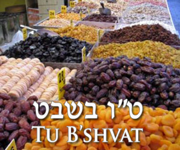 Egy hét múlva köszönt be a fák újéve (טו בשבט) Egy hét múlva köszönt be a fák újéve (טו בשבט)