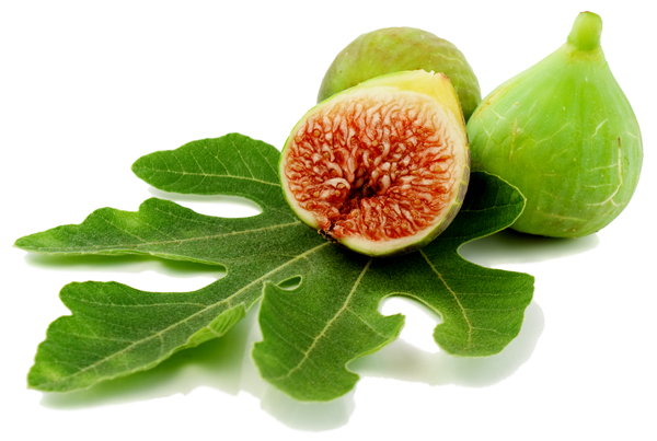 Egy kedves történet a ma este beköszöntő TuBisvátról (טו בשבט) Egy kedves történet a ma este beköszöntő TuBisvátról (טו בשבט)