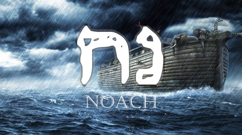 Következő hetiszakaszunk: Noách (נֹחַ) Következő hetiszakaszunk: Noách (נֹחַ)
