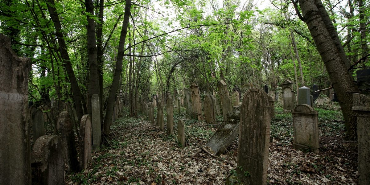 Önkéntes nap a Kozma utcai zsidó temető legrégebbi síremlékeit őrző parcella megtisztítására Önkéntes nap a Kozma utcai zsidó temető legrégebbi síremlékeit őrző parcella megtisztítására